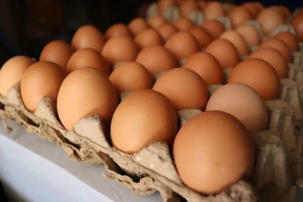 Huevos_A Huevos A