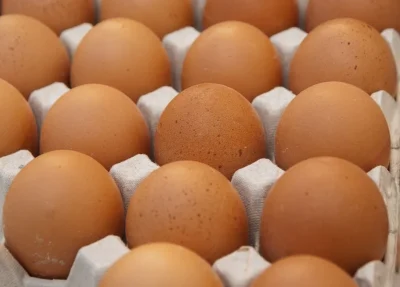 Huevos AA