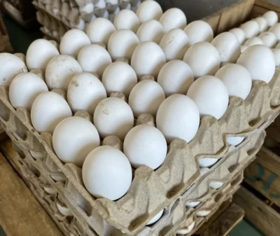 Huevos A Blanco
